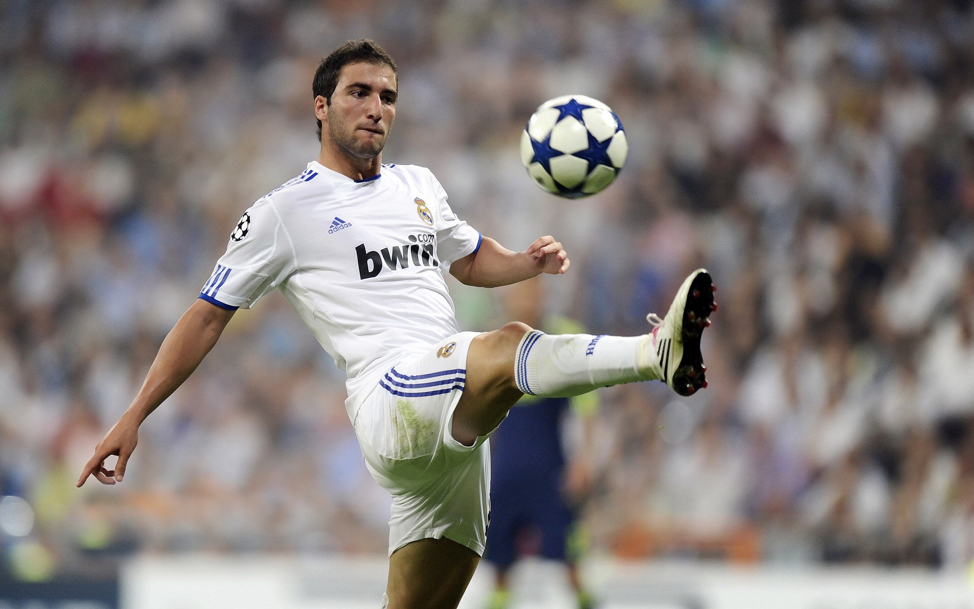 中国足球核心球员分布地图，中国足球成员排名