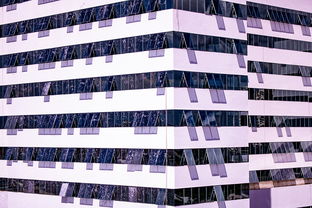 ayx体育-体育新闻中心建设体育数字内容版权保护体系，体育数据新闻